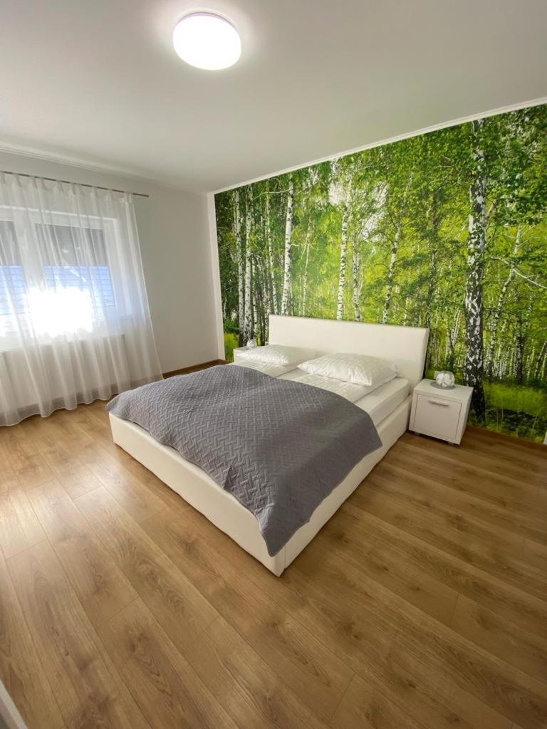Apartament Nala Медіаш Екстер'єр фото